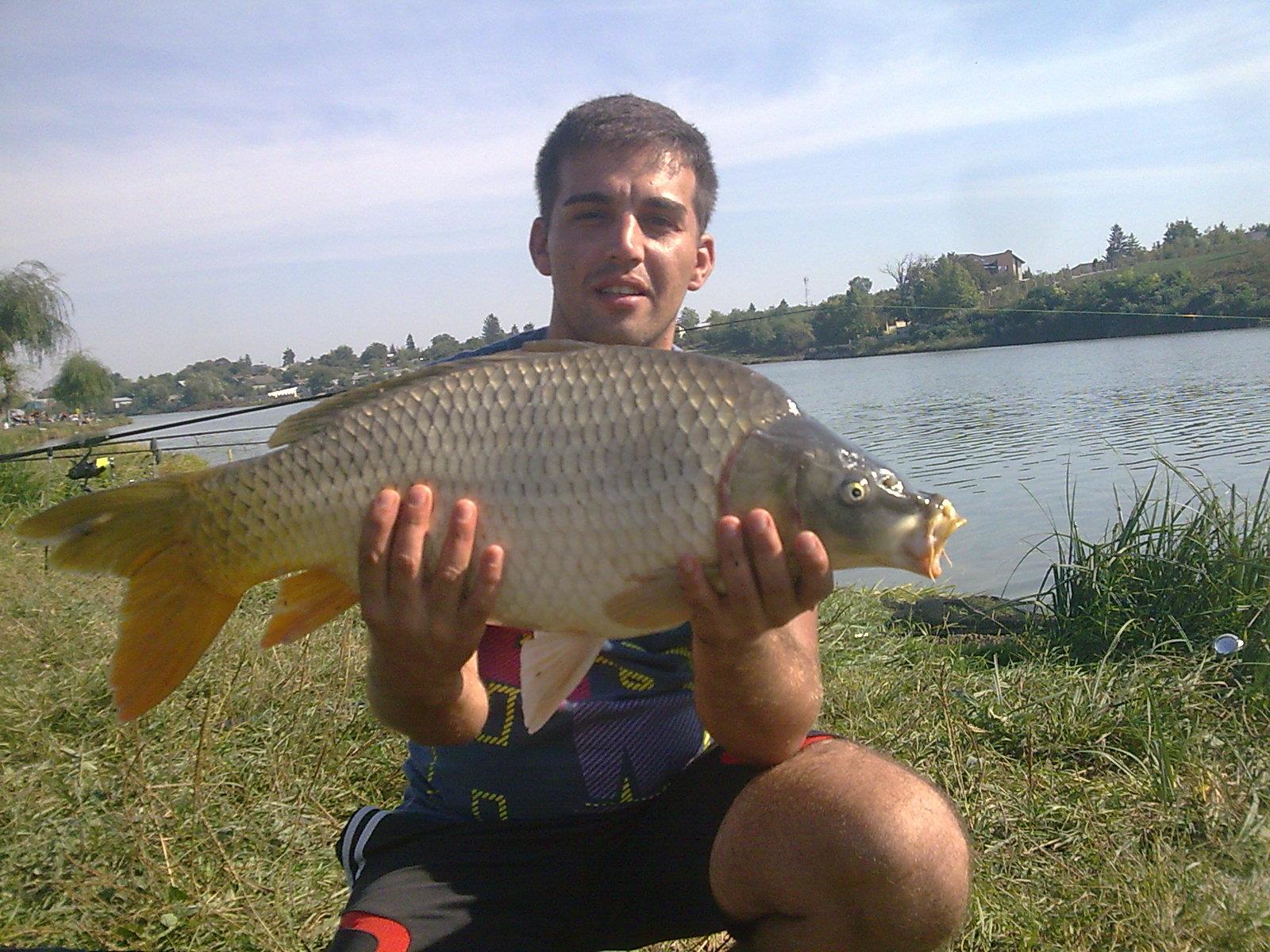 mv2 - Imagine0790.jpg